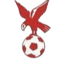 https://img.shengyuanguanjian.com/img/football/team/4802d26df935b78bb2fcdbbff36e8864.png